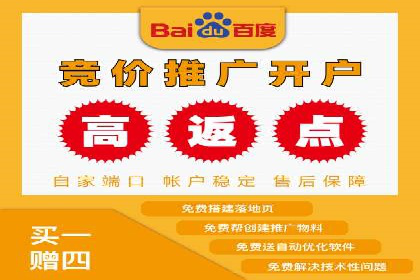 SEM公司案例研究：数据驱动营销策略